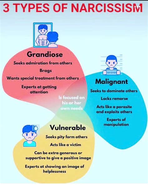 Are there actually 3 types of narcissism? : r/NPD
