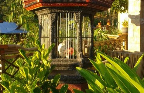TIING BALI GUEST HOUSE (Kintamani) - Guesthouse Reviews, Photos, Rate ...