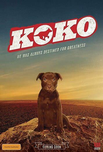 《Koko:红犬历险记》百度云-在线观看-超清BD1080P|英语中字（2019）_人人电影网,百度云盘,阿里网盘下载