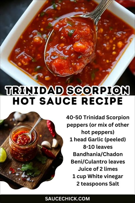 https://saucechick.s3.amazonaws.com/wp-content/uploads/2025/02/28151339/Trinidad-Scorpion-Hot-Sauce-recipe-09-683x1024.webp?utm_source=chatgpt.com