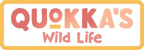 Angel Guild Basic Membership – Angel Studios Gift Factory