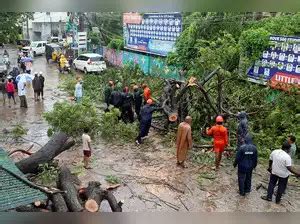 Cyclone Michaung: Centre releases Rs 493.60 crore disaster relief for ...