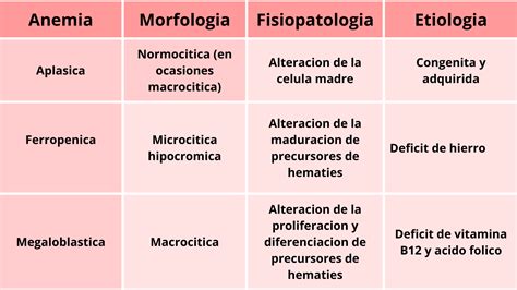 Clasificación de las anemias