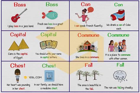 Homograph List | 150+ Words | IRSVD