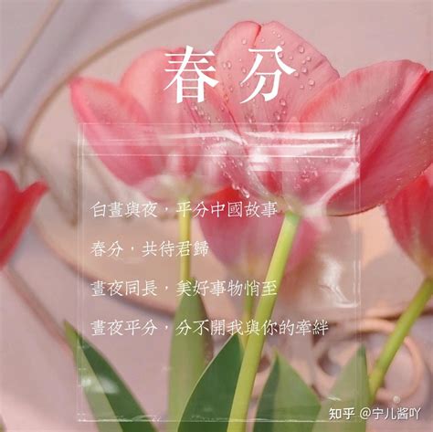 2022年最新：“春分”节气 唯美春暖文案！ - 知乎