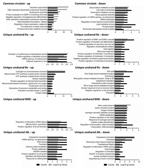 Temporal Profiling of Host Proteome against Different M. tuberculosis ...