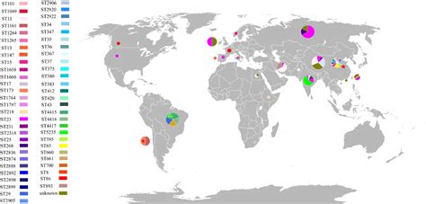 Klebsiella species: Taxonomy, hypervirulence and multidrug resistance - eBioMedicine - species of klebsiella