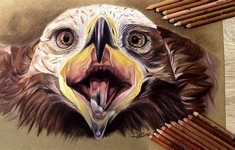 draw pencil sketch