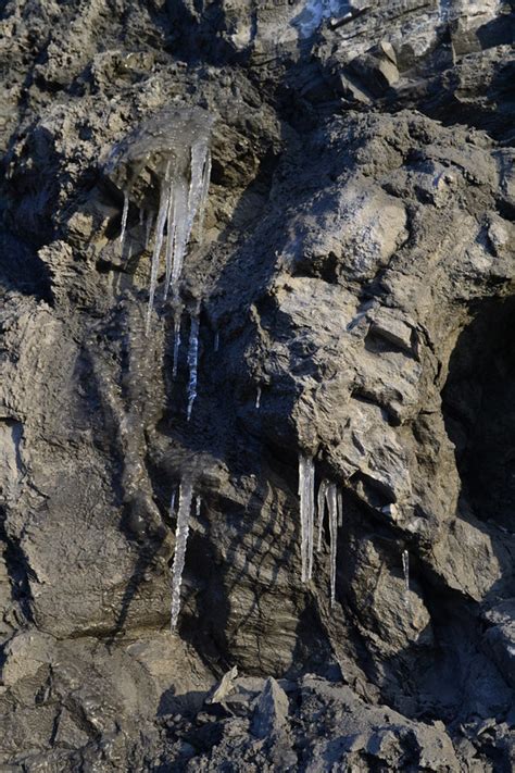 4K农民黄牛耕地，逆光剪影_3840X2160_高清视频素材下载(编号:5588240)_实拍视频_光厂(VJ师网) www.vjshi.com