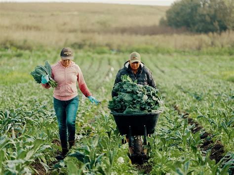 25 Facts About Harvesting - OhMyFacts