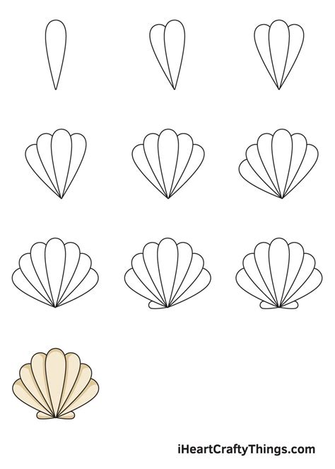 Image result for Shelldrawing