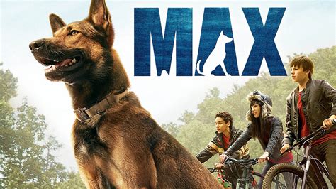 Tissue (Box) Alert: 'Max' Movie Features Military Dog With, 58% OFF