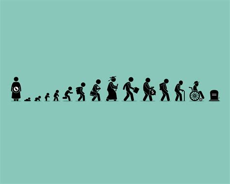 Life And Death Cycle