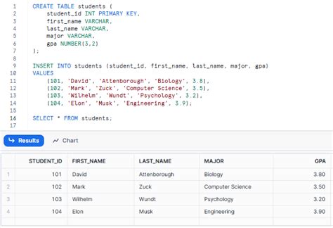 Image result for How to Use Excel to Update Snowflake Database