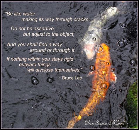 Famous Bruce Lee Quotes Water. QuotesGram