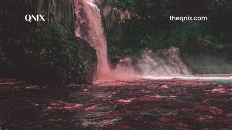 Period Underwear vs. Pads and Tampons: Which is Right for You? – Qnix