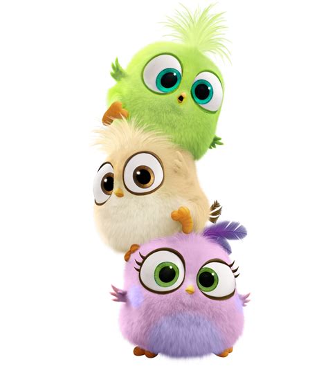 Angry Birds Movie Bird Hatchlings PNG Transparent Image | Gallery ...