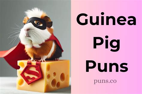 150 Pig Puns To Have You Oinking For More!