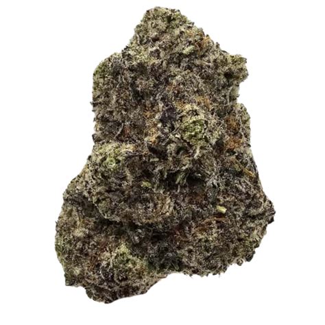 Garlic Icing THCA 30% | Hybrid THCA Flower | Kushte