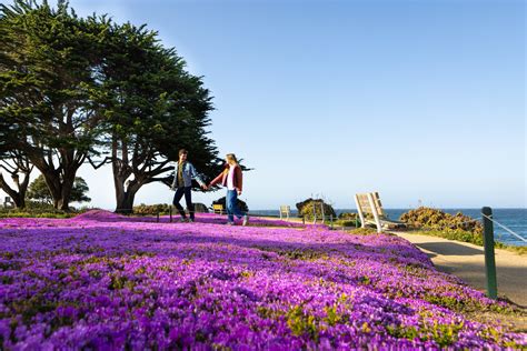 Explore Lovers Point Park and Beach in Pacific Grove