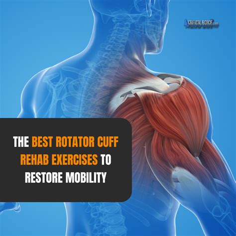 The Best Rotator Cuff Rehab Exercises to Restore Mobility | Critical Bench | Rotator cuff rehab ...