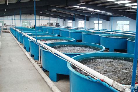 工厂化水产养殖优势明显与国外先进技术仍有差距_水产快讯（水产养殖）_水产养殖网