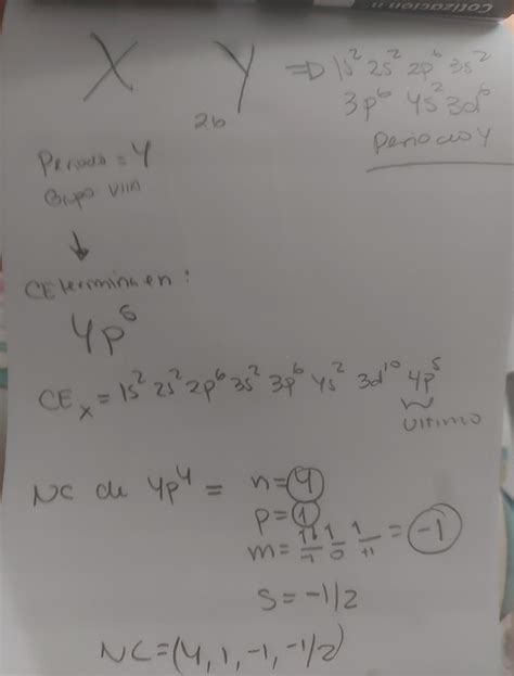 101z 26y apk,In recent years