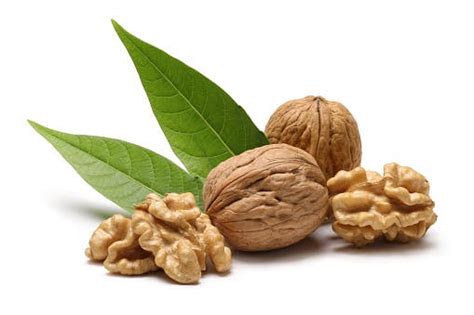 Understanding Digestive Wellness