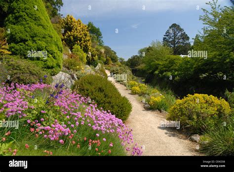 Image result for Example of Transcript for Project