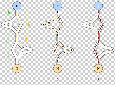 Image result for Ant colony optimization algorithms Applications