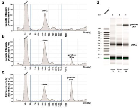 MSI Analysis in Solid and Liquid Biopsies of Gastroesophageal ...