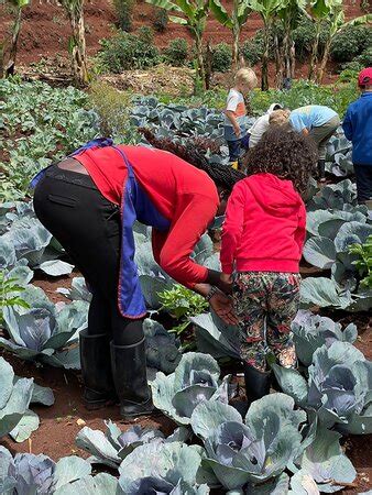 Mlango Farm (Limuru) - 2022 What to Know Before You Go (with Photos ...
