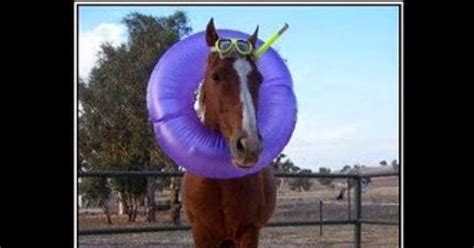 Image result for Random Access Humor