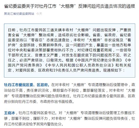 刚刚通报！黑龙江省纪委监委：19人被严肃问责追责 | 每日经济网