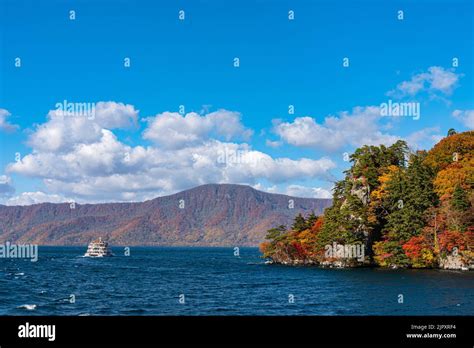 Image result for Measurement and Data Math Example