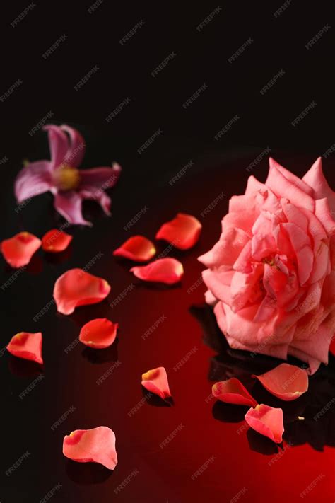 Background Clean 的图像结果