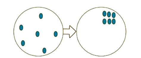 System Software and Application Software - Computer for GCSE/IGCSE ...