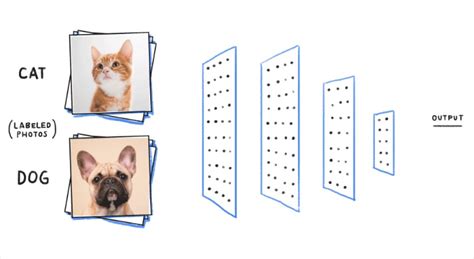 Classification Model Example 的图像结果