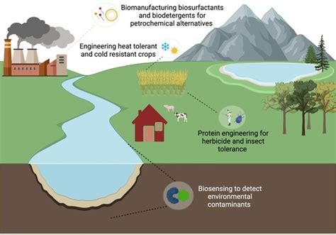 SynBio | Special Issue : Programmable Proteins in Synthetic Biology