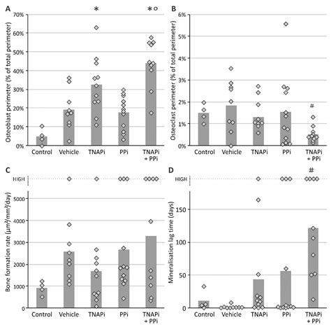 Chronic Kidney Disease-Induced Arterial Media Calcification in Rats ...