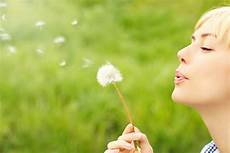 allergia alle graminacee alimenti vietati allergia graminacee periodo alimenti da evitare e vaccino allergia alle graminacee alimenti vietati allergia graminacee periodo alimenti da evitare e vaccino