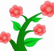 Image result for Image of Flowers to Print