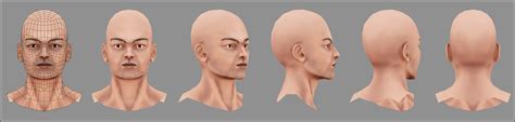 Maya Human Head 的图像结果