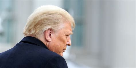 New Photos Suggest Donald Trump May Have Flushed Official Documents ...