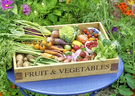 Produce Box 的图像结果