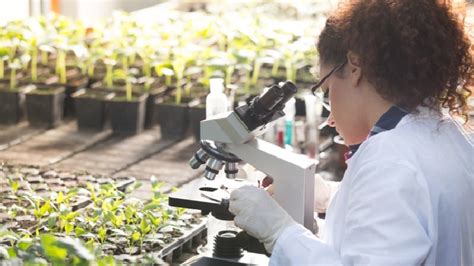 Biotechnology 的图像结果