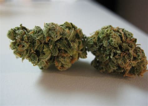 Image result for Alien OG Strain Info