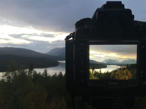 Live View Camera 的图像结果