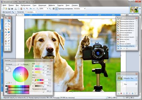 Скачать бесплатно Paint Net 4.1.5 программу редактирования картинок и ...