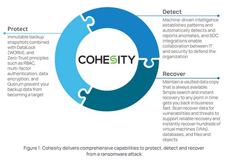 Counter Ransomware Attacks with Cohesity | Solution Brief